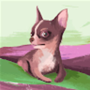 Meet your Posher, Marni